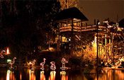 Festival of Lights